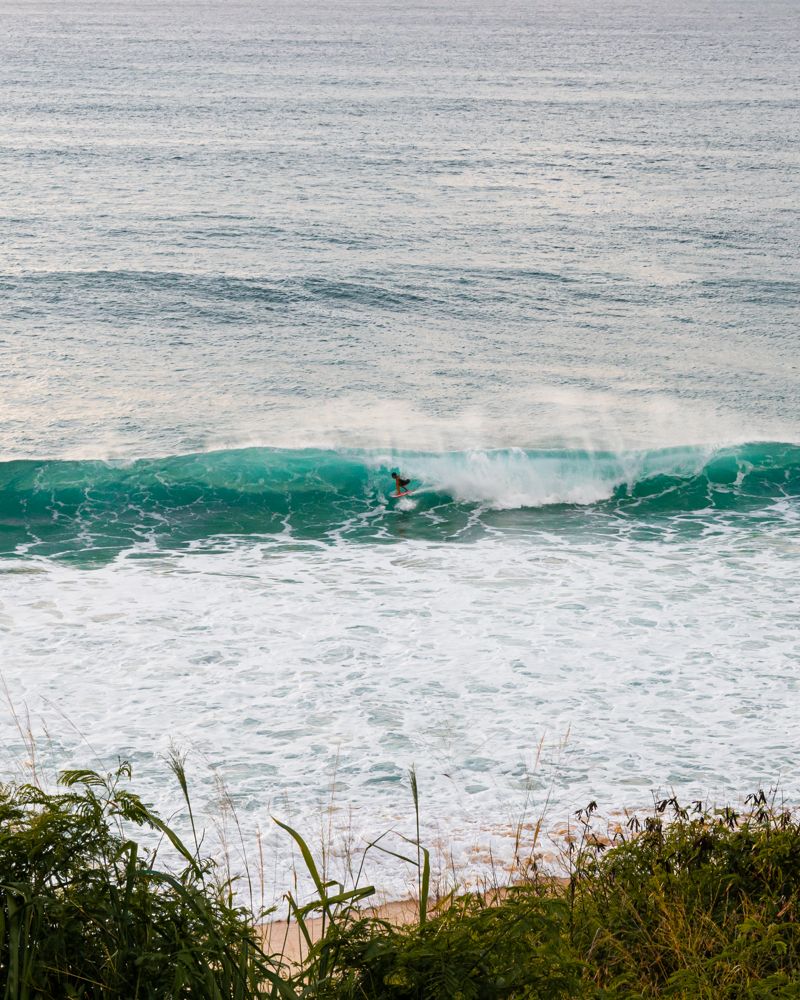 One surfer