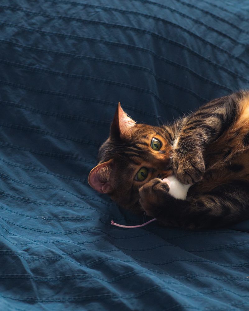 Caught mid-roll