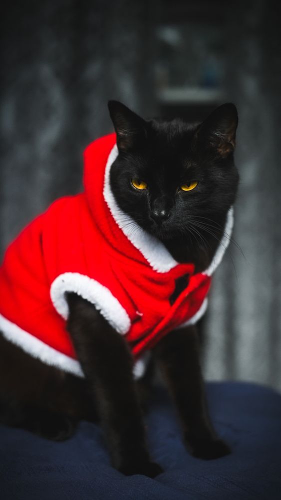 Dressed for the season